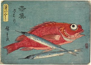 النهاش الأحمر و Halfbeak ، 1830-1844