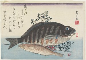 فروع Sea Bream و Sweetfish و Nandina ، ج. 1840
