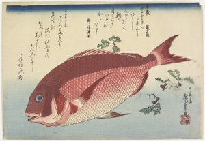 Sea Bream و Sansho_Sprigs ، ج. 1832