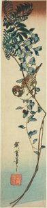 العصفور والويستارية بواسطة Utagawa Hiroshige