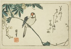 العصفور والستارية بواسطة Utagawa Hiroshige