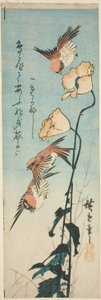 العصافير والخشخاش بواسطة Utagawa Hiroshige