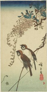 العصافير والستارية بواسطة Utagawa Hiroshige
