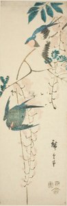 السنونو والويستارية بواسطة Utagawa Hiroshige