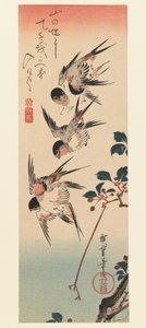 تنزاكو ، أربعة سوالوز ، 1832 (طبعة خشبية ملونة) بواسطة Utagawa Hiroshige
