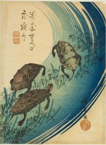 السلاحف تسبح في مجرى مائي بواسطة Utagawa Hiroshige