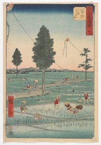 ثمانية وعشرون ، Fukuroi ، فترة ايدو ، 1855 (طباعة كتلة خشبية ملونة)