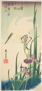 مالك الحزين الأبيض والقزحية بواسطة Utagawa Hiroshige