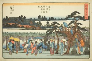 الوستارية الكاملة في حرم ضريح كاميدو تينمانغو (Kameido Tenmangu keidai fuji hanazakari no zu) ، من سلسلة "الأماكن الشهيرة المختارة حديثًا في إيدو (شينسن إيدو ميشو)" بواسطة Utagawa Hiroshige