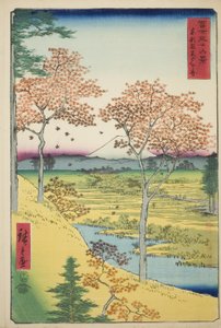Yuhi Hill at Meguro in the Eastern Capital (Toto Meguro Yuhigaoka) ، من سلسلة "ستة وثلاثون منظرًا لجبل فوجي (فوجي سانجوروكي)" بواسطة Utagawa Hiroshige