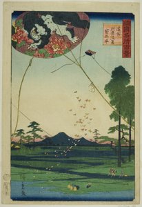 طائرات Fukuroi والمنظر البعيد لأكيبا في مقاطعة توتومي (Enshu Akiba enkei Fukuroi tako) ، من سلسلة "مائة منظر مشهور في مختلف المقاطعات (Shokoku meisho hyakkei)"