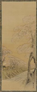 منظر طبيعي: أزهار الكرز على ضفاف مجرى مائي ، فترة إيدو ، 1615-1868.