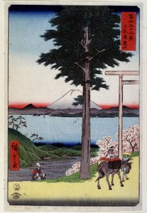 جبل فوجي خلف سيكويا - طباعة يابانية لهيروشيغي أوتاغاوا بواسطة Utagawa II Hiroshige