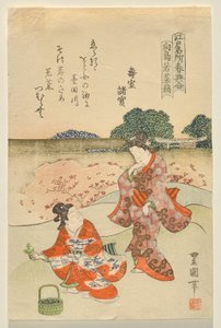 تجمع الأعشاب في Muk؟ jima ، من سلسلة مواقع Edo الشهيرة في Springtime