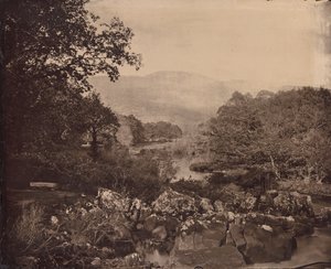 منظر من العشب ، Dennicanniby ، 1870s.
