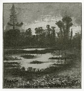 أغاني الشفق ، القرن التاسع عشر (bw engraving) بواسطة فيكتور هوغو