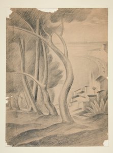 منظر جمالي