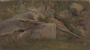 دراسة كومة الحجر بواسطة Vilhelm Petersen
