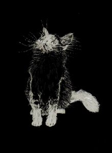 بيبي لو بون ، 2002 بواسطة فنسنت الكسندر بوث