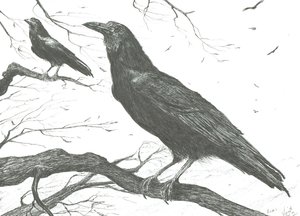 المراقبون ، 2011 بواسطة فنسنت الكسندر بوث