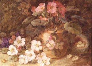 لا تزال الحياة مع Apple Blossom و Primula و Bird's Nest