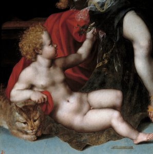 كوكب المشتري في ساتير مع Antiope وتوأمها التفصيلي يمثلان أحد التوائم مع قطة. لوحة لفنسنت سيلار (حوالي 1500-1589) من القرن السادس عشر.