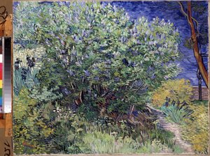 "The Lilac Bush" "(Lilac Bush) لوحة للفنسنت فان جوخ (1853-1890) 1889 Dim. 72x92 cm متحف هيرميتاج ، سانت بطرسبرغ (سانت بطرسبرغ) بواسطة فنسنت فان جوخ