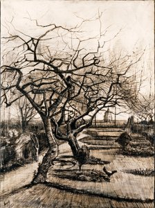 حديقة Parsonage في Nuenen في الشتاء - Oeuvre de Vincent ، van Gogh (1853-1890) - 1884 - قلم وفرشاة وحبر على ورق - 51،5x38 - Szepmuveszeti Muzeum ، بودابست بواسطة فنسنت فان جوخ