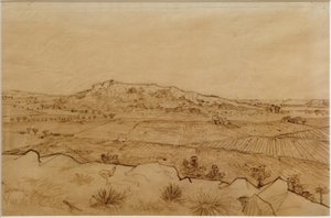 عرض Crau بواسطة فنسنت فان جوخ