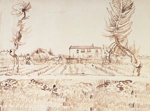 العمل في الحقول في آرل ؛ بلومان في الحقول في آرل ، 1888 بواسطة فنسنت فان جوخ