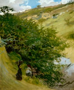 الخشب في المناظر الطبيعية من قبل فيتوريو ماتيو كوركوس (1859-1933) ، زيت على قماش ، 53x43 سم بواسطة فيتوريو ماتيو كوركوس