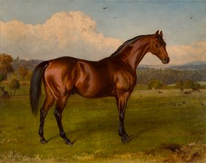 الفائز في كأس دونكاستر ، حوالي 1870-92 (زيت على قماش) بواسطة WH هوبكينز