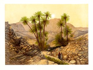 صحراء سيناء ، مصر ، c1870. بواسطة دبليو ديكنز