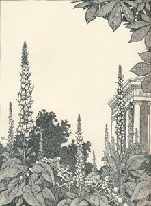 رسم توضيحي لحلم ليالي منتصف الصيف ، 1914 ، 1925. بواسطة وليام هيث روبنسون