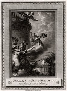 تحول بيرديكس ، ابن شقيق دايدالوس ، إلى حجل ، 1774