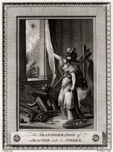 تحول عراكن إلى عنكبوت ، 1775