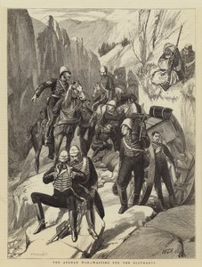 الحرب الأفغانية تنتظر الفيلة بواسطة Walter Charles Horsley