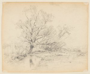رسم تخطيطي للمناظر الطبيعية