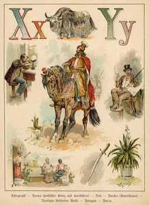 الحرف X والحرف Y (chromolitho)