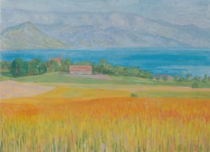 Kornfeld am Attersee بواسطة والتر جاميرث