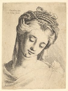 تمثال نصفي لامرأة شابة ذات غطاء رأس متقن ، ينظر إلى الأسفل ، 1625-1677. بواسطة وينسلوس هولار