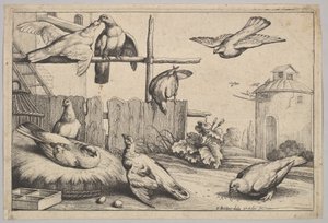 ثمانية حمامات ، 1625-1677. بواسطة وينسلوس هولار