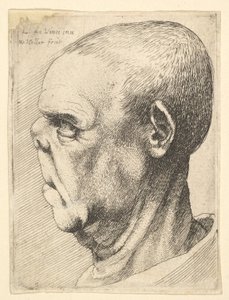 رجل عجوز بشع مع أنف مسطح في شكل جانبي إلى اليسار ، 1625-77.