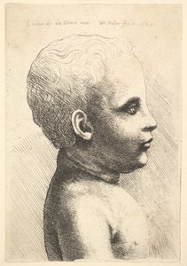 رأس وكتف طفل ، في الملف الشخصي إلى اليمين ، 1645. بواسطة وينسلوس هولار