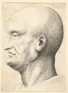 رأس رجل أصلع في صورة جانبية إلى اليسار ، 1644-52.
