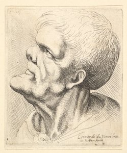 رأس رجل بارز وذقن بارز وأنف مزعج ينظر لأعلى في شكل جانبي إلى اليسار ، 1625-77. بواسطة وينسلوس هولار