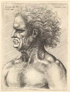 رأس رجل عجوز عضلي في شكل جانبي إلى اليسار بشعر متدفق ، 1625-77. بواسطة وينسلوس هولار
