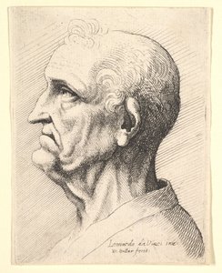 رأس رجل عجوز مع خصلات شعر مجعد حول الأذن في الجانب الأيسر ، 1644-52. بواسطة وينسلوس هولار