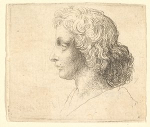 رأس شاب ذو شعر طويل على اليسار ، 1644-52. بواسطة وينسلوس هولار
