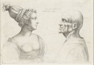 رؤوس رجل وامرأة أصلع بعمامة Varie figurae et probae (عنوان المسلسل) رسوم كاريكاتورية ورؤوس وتشوهات بعد ليوناردو دافنشي (عنوان المسلسل) بواسطة وينسلوس هولار